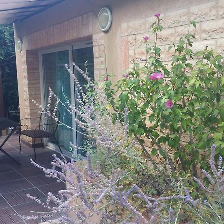 La Villa Des Violettes Toulouse Dış mekan fotoğraf