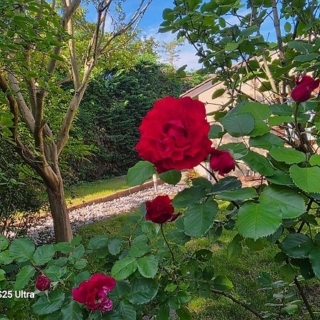 La Villa Des Violettes Toulouse Dış mekan fotoğraf