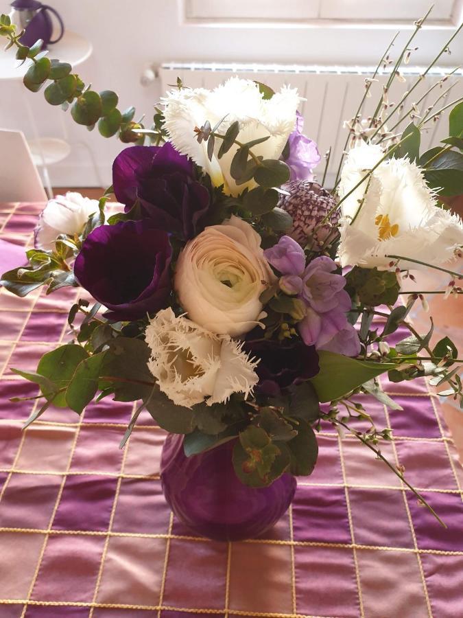 La Villa Des Violettes Toulouse Dış mekan fotoğraf