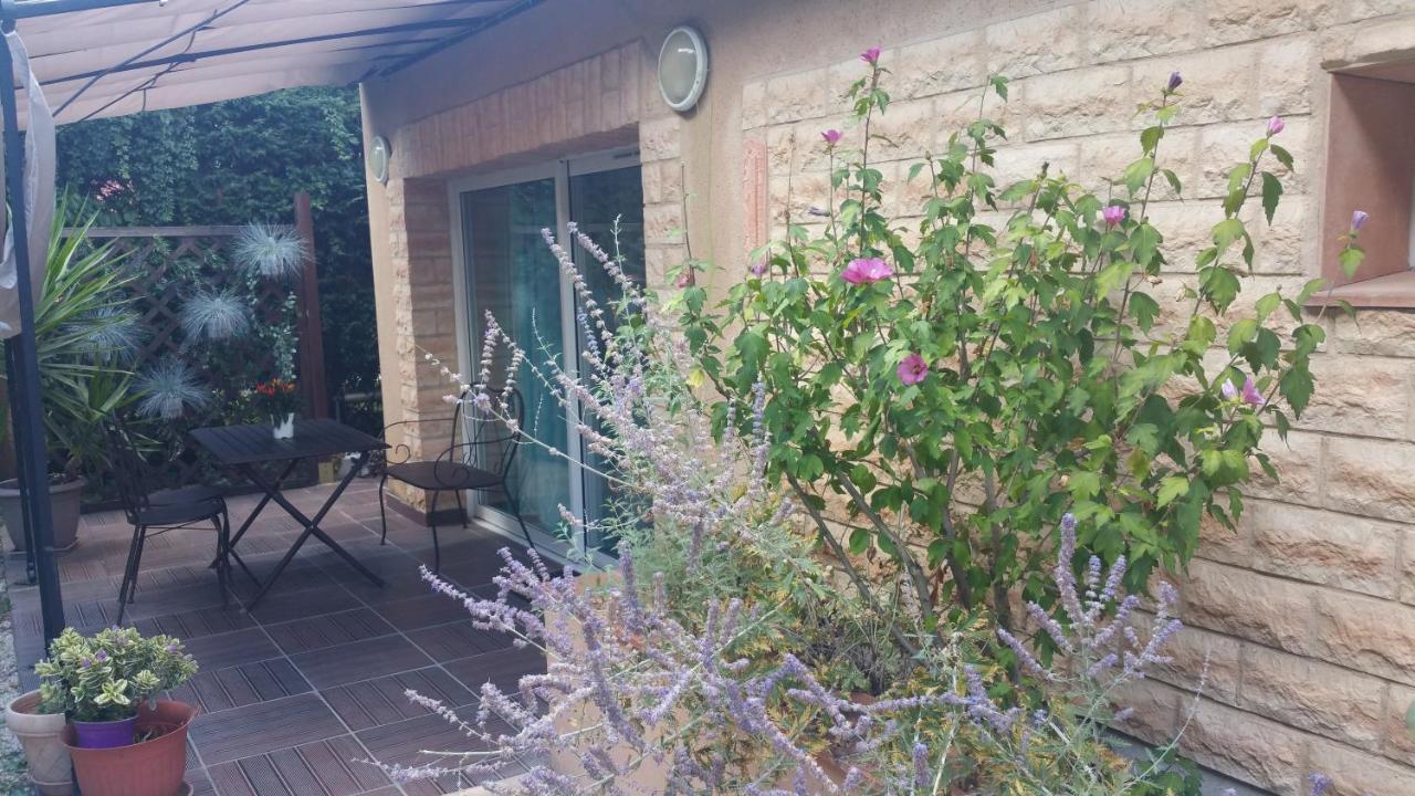 La Villa Des Violettes Toulouse Dış mekan fotoğraf