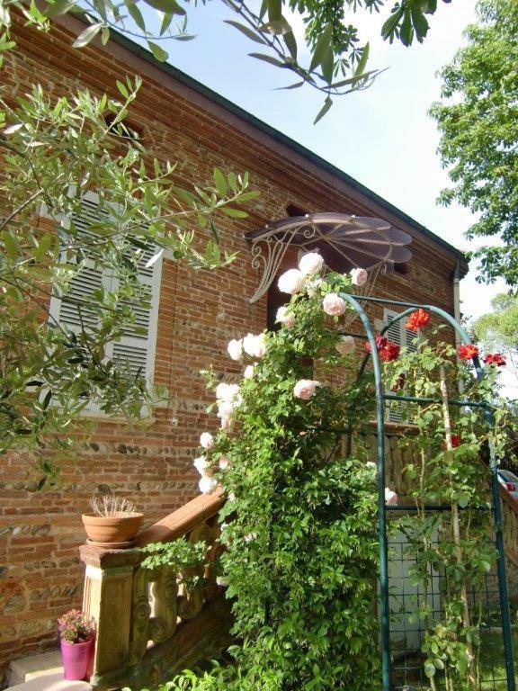 La Villa Des Violettes Toulouse Dış mekan fotoğraf