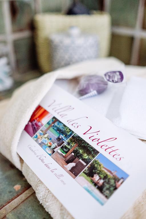 La Villa Des Violettes Toulouse Dış mekan fotoğraf