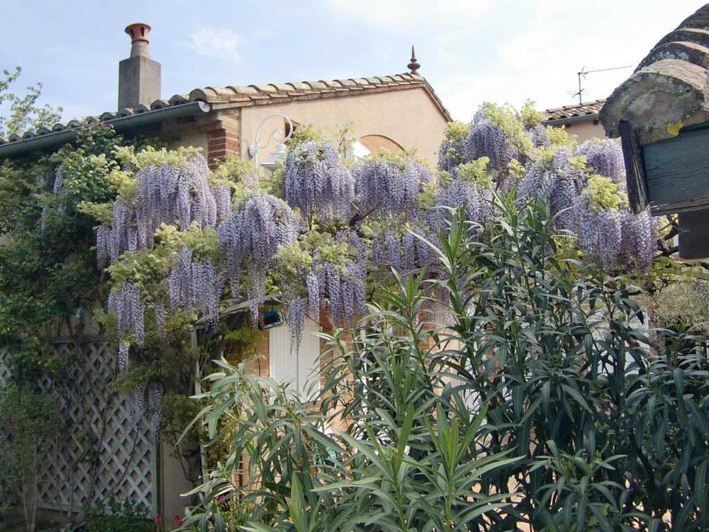 La Villa Des Violettes Toulouse Dış mekan fotoğraf