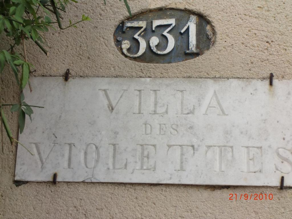 La Villa Des Violettes Toulouse Dış mekan fotoğraf